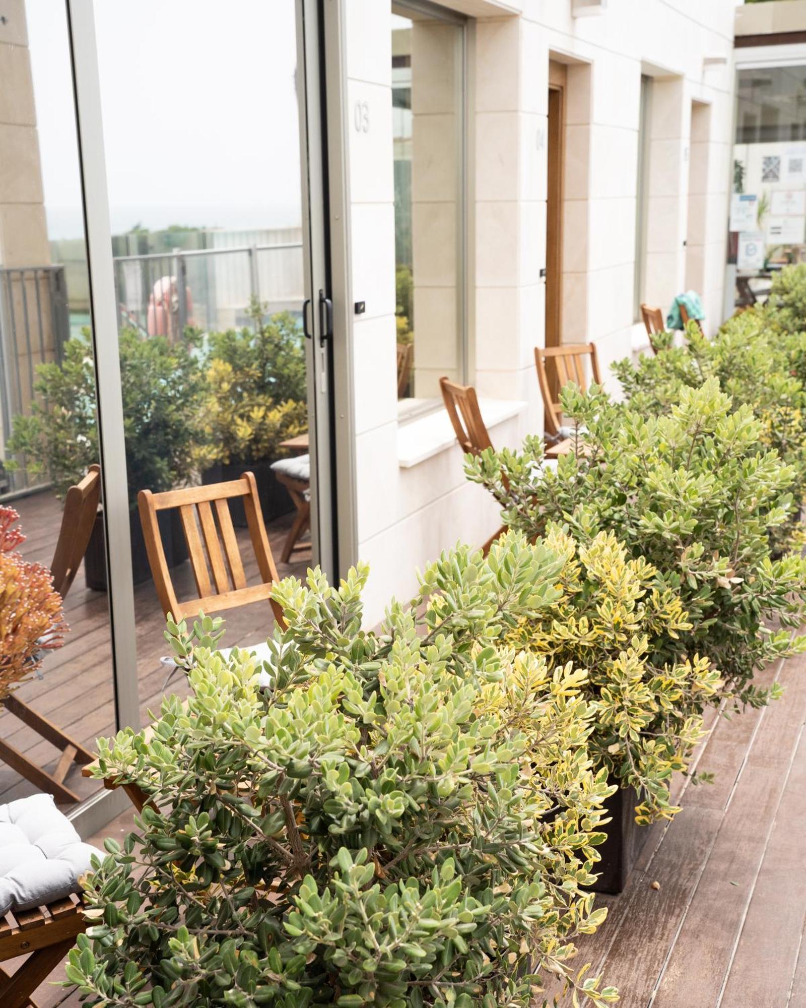 Hotel Boutique Aroma De Mar Чиклана де ла Фронтера Екстериор снимка